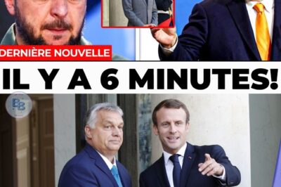 Orban Allume Zelenski, Macron Exclu du Jeu : L’Europe Se Fracture en Pleine Crise