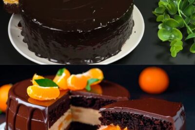 La Torta Festiva che si Scioglie in Bocca: Il Matrimonio Perfetto tra Cioccolato Intenso e Mandarino Fresco