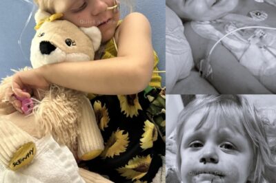 Quatre pour toujours : La lumière éclatante de Sophia Nielsen