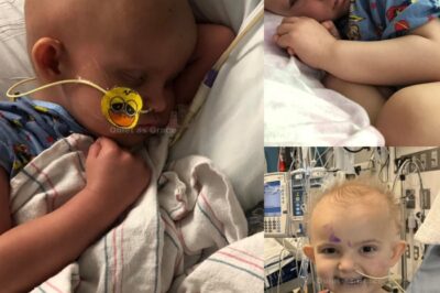 Une vie trop courte, mais toujours inspirante