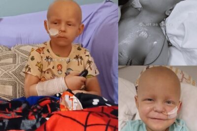 Les fragiles victoires de Brayden : la force tranquille d’un petit battant