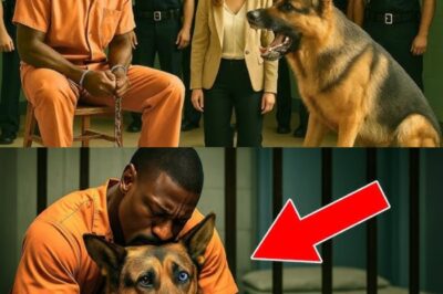 Son dernier souhait avant son exécution était de voir son chien – mais ce qui s’est passé ensuite a tout changé…