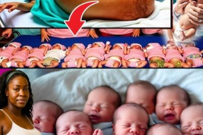 Une mère donne naissance à dix bébés et les médecins réalisent que l’un d’eux n’est pas un bébé ! Le choc est immense ! Lorsque les médecins ont annoncé à Emily Carter qu’elle attendait dix bébés, son mari a failli s’évanouir.