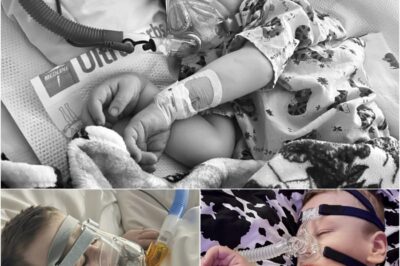 Le fragile combat de Lane : une semaine de peur, de foi et d’amour.