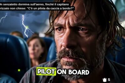 Un senzatetto dormiva sull’aereo, finché il capitano terrorizzato non chiese: “C’è un pilota da caccia a bordo?”