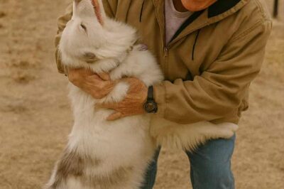 Un Incontro Oltre la Vista e l’Udito
