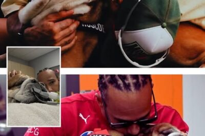 Strazio per Lewis Hamilton! Il sette volte campione di F1 rivela la morte del suo cane Roscoe