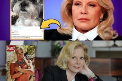 Sylvie Vartan en Larmes : La Perte de Son Compagnon Animal, un Deuil Profond et Partagé
