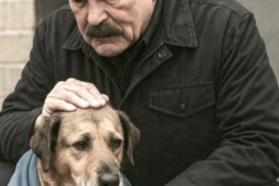 L’Eroe Silenzioso: Tom Selleck Salva 47 Cani dal Baratro con un Gesto che ha Commosso il Mondo