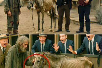 Un millionnaire a donné un cheval mourant à un pauvre homme pour plaisanter, mais il l’a vite regretté…
