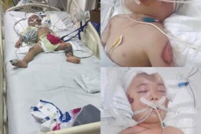 Le destin brisé d’un petit ange : l’histoire de Lucas et sa mère
