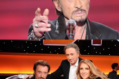 “Je m’éclate”, Johnny Hallyday, ce célèbre chanteur avoue continuer de lui écrire des chansons malgré sa disparition