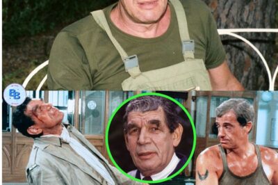 Michel Constantin : Ra Goûter Le Silence – Une Légende Du Cinéma Disparaît Seul, Sans Femme Ni Enfants À Ses Côtés, Découvert Par Un Voisin Allongé Par Terre