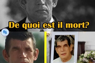 🔆 Décoder la mort tragique de Michel Constantin, un acteur à la brillante carrière