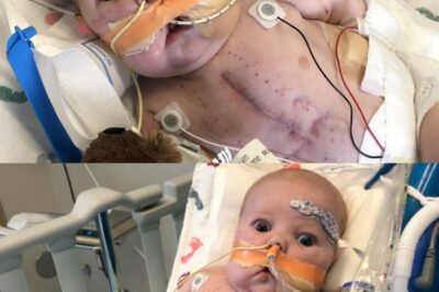 « 119 jours d’éternité — Le bébé qui a tout changé ».