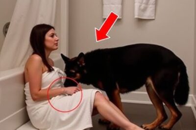 Un mari trouve sa femme dans la salle de bain avec son chien — ce qu’il a vu l’a choqué !