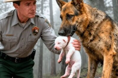 Une mère chienne pleure alors qu’elle donne son chiot albinos au garde forestier, ce qui se passe ensuite laisse tout le monde stupéfait !