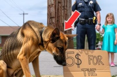 « Puis-je acheter ce chien, papa ? » demanda doucement la petite fille. Le policier regarda le chien… et se figea.