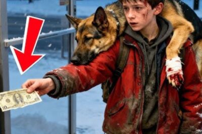 Un garçon sans-abri a dépensé ses derniers 10 dollars pour un chien blessé — ce qu’il a reçu a changé sa vie à jamais