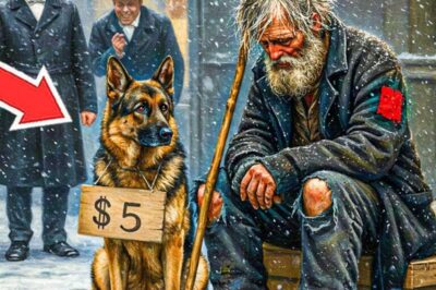 Un millionnaire a donné un chien malade à un mendiant pour 5 $… Mais il l’a profondément regretté.