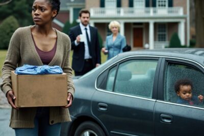 Inconsciente de Son Héritage de 200 Millions, Elle et Ses Jumeaux Sont Expulsés Après la Mort de Son Mari…