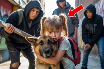 Une fille battue alors qu’elle protégeait le chien d’un vétéran — 24 heures plus tard, 200 chiens arrivent pour la protéger