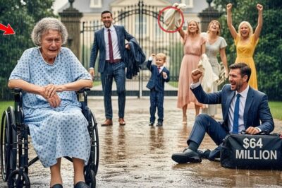 Mes enfants ont hérité de 64 millions de dollars et m’ont abandonnée sous la pluie — Quelques mois plus tard, ils sont venus ramper vers moi