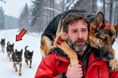 Un homme sauve un chien mourant d’un piège — et ne peut même pas imaginer ce qui se passe ensuite.