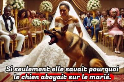Son chien lui a bloqué le passage le jour de son mariage, puis elle a découvert la RAISON CHOQUANTE