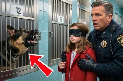Une fille aveugle rencontre le chien policier le plus dangereux — Ce que le K9 retraité a fait ensuite a stupéfié tout le monde.