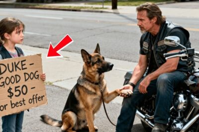 « Achetez-moi un chien, monsieur… Maman n’a pas mangé depuis deux jours » — Les motards ont appris qui lui a tout pris