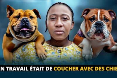 Mon Travail Était De Coucher Avec Des Chiens – Le Côté Obscur de Travailler En Arabie Saoudite !