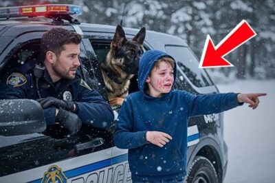 Petit garçon en pleurs : « Ils ont battu ma maman… Elle est en train de mourir !» — Ce que le policier et son chien ont fait ensuite va vous choquer.
