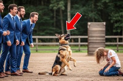 Des enfants riches jettent une fille pauvre dans les bras d’un berger allemand agressif — Ce qui se passe ensuite choque tout le monde