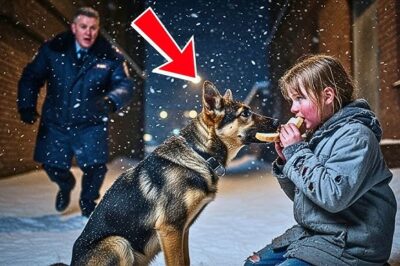Une pauvre fille a donné son dernier repas à un chien errant dans une tempête de neige, puis lorsque la police est arrivée en courant, tout ce qu’il a vu l’a laissé sans voix.