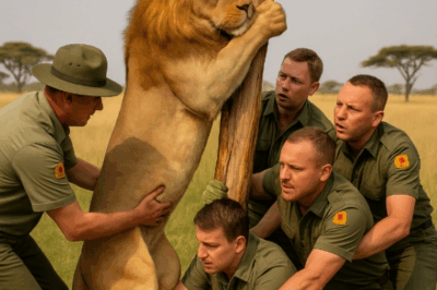 Un leone rimase intrappolato con la testa tra i rami di un albero per tre lunghi giorni. Non sperava più in nessuno. Ma quello che fecero i ranger che lo trovarono cambiò per sempre le loro vite.