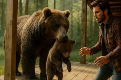 Sono uscito di casa e sulla soglia ho visto un enorme orso che teneva in bocca un cucciolo: mentre lo fissavo terrorizzato, l’orsa depose con cautela il piccolo a terra e fece qualcosa di completamente inaspettato