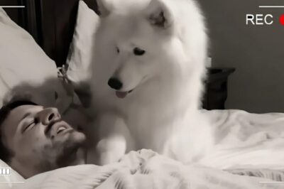 Un cane del rifugio non dormiva la notte e fissava i suoi padroni: la coppia rimase sconvolta quando scoprì il motivo del suo strano comportamento