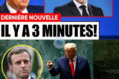 „Unbedeutend“: Trumps Alaska-Vernichtung stürzt Macron in existenzielle Krise und stärkt die Populisten
