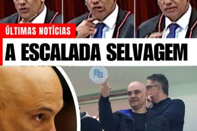A Escalada Selvagem: Como a Guerra Política Entre STF e Bolsonaro Ameaça Transformar o Brasil em um Refém Geopolítico