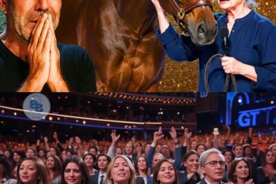 L’Âme Retrouvée : Maestro, le Cheval de 45 Ans Rescapé de l’Enfer, Danse une Valse Viennoise et Redonne Espoir au Monde
