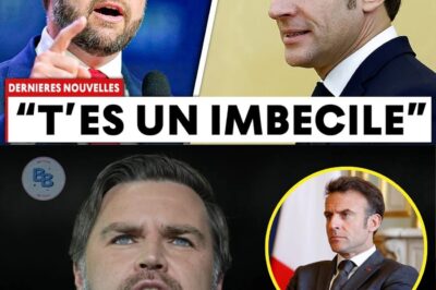 L’Humiliation Planétaire : De la Plante en Pot à la Risée du Monde, JD Vance Démolit Emmanuel Macron et Dénonce le Suicide Démocratique de l’Europe