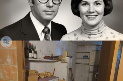 Disparus de 1979 : Les photos dans la cave révèlent 27 ans de secrets, un amour plus fort que la mort et un sacrifice de la Seconde Guerre mondiale