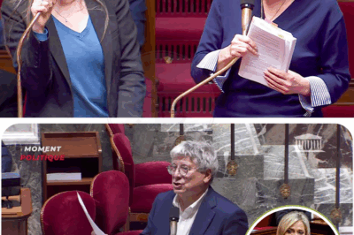 Marine Le Pen VISÉE par une députée LFI, elle RIPOSTE et ça part en VRILLE !