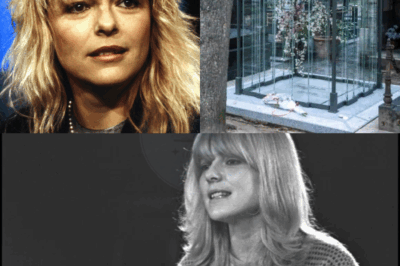 France Gall : sa tombe hors du commun avec un secret bien particulier