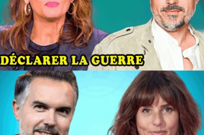 Maxime Chattam a ruiné la vie de Faustine Bollaert et voici comment elle s’est vengée…