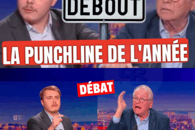 Le clash de l’année signé Louis Boyard face à Daniel Cohn Bendit
