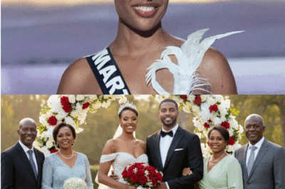 Angélique Angarni-Filopon, Miss France, émeut le public avec une joyeuse photo de mariage en famille