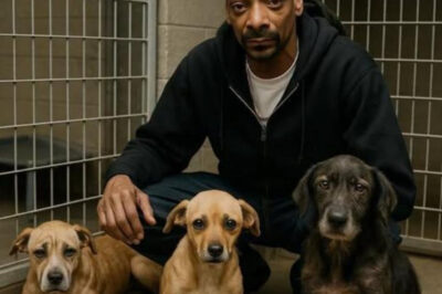 🐾 L’Acte de Générosité Légal et Léthargique : L’Intervention de Snoop Dogg