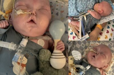 « Quelque chose cloche — Le combat d’une mère pour sauver son fils ».